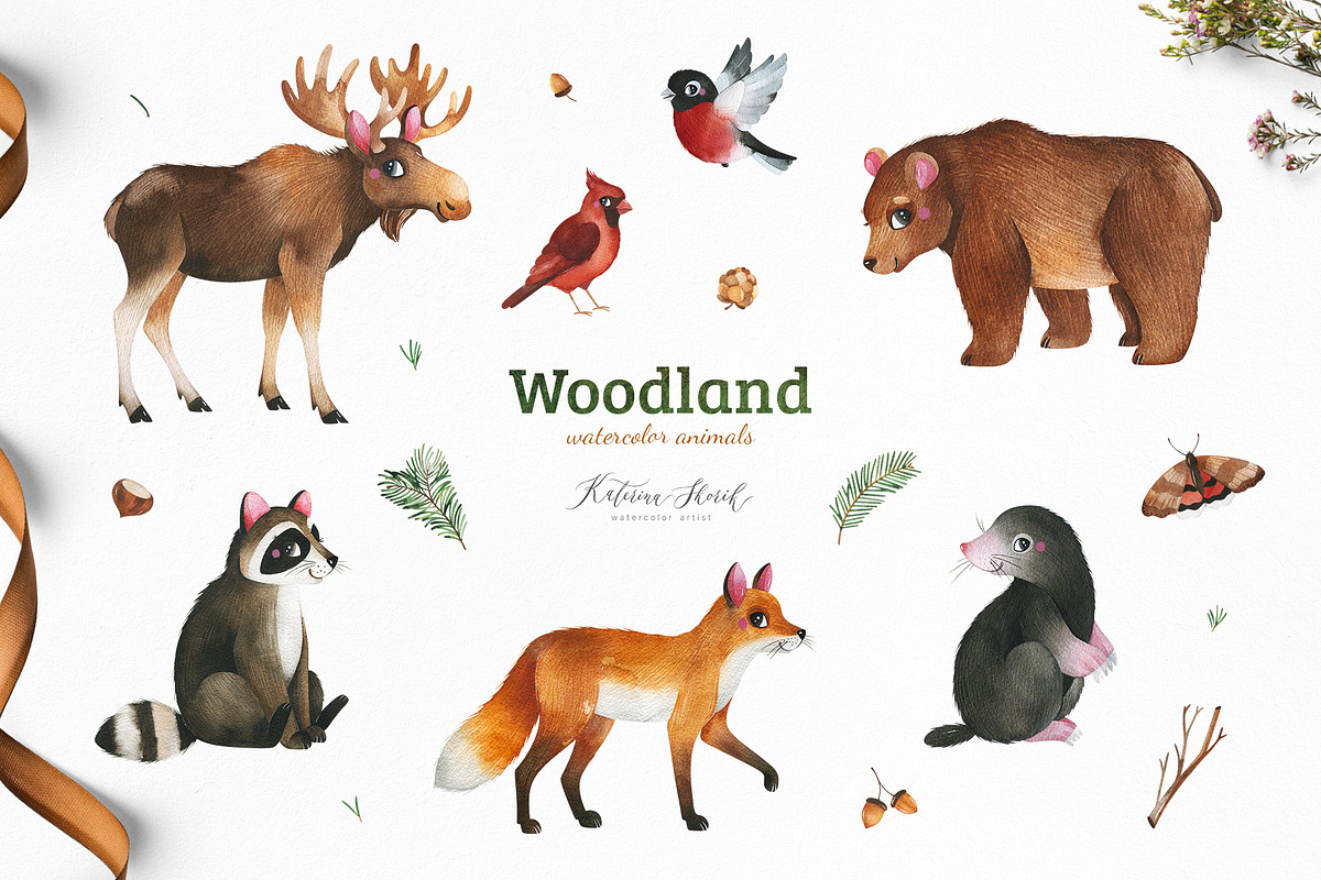 Woodland. Cute forest collection., an Animal Illustration by Kate_Rina (Photo 3 of 15)