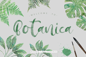 Botanica Regular & OpentypeSVG, a Serif Font by maghrib