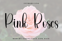 Pink Roses