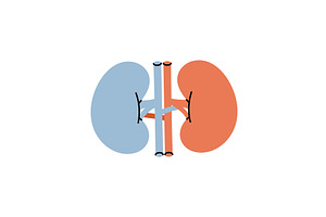 Kidneys. Human internal organ, an Object Illustration by GraphiShop