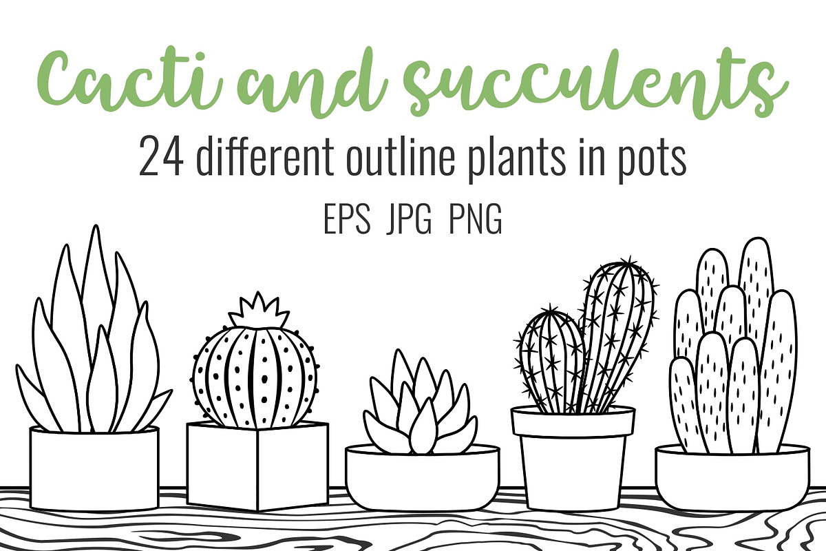 Outline cacti and succulents set, a Decorative Illustration by Primula`s shop (Photo 1 of 3)