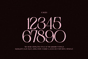 BERBERIS - Display Unique Serif, a Serif Font by Misha Sova (Thumbnail 13 of 14)