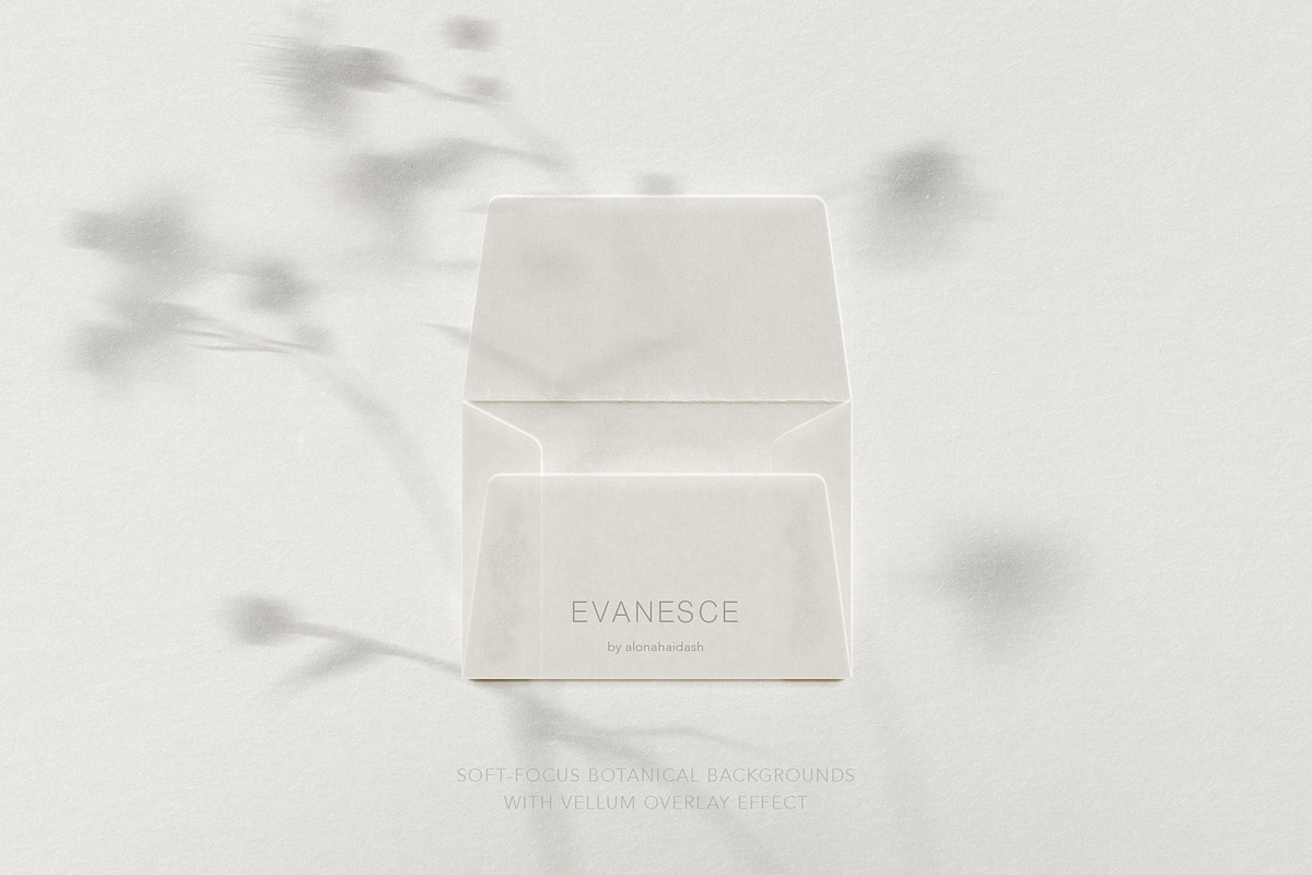 Blur Botanical Vellum Backgrounds, a Background Graphic by alonahaidash (Photo 11 of 14)