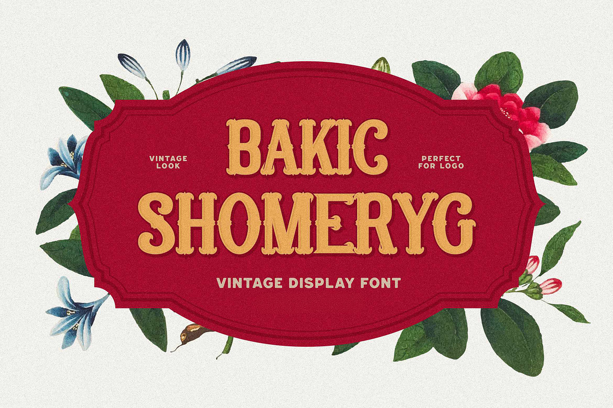 Bakic Shomeryg - Victorian Serif, a Serif Font by Imoodev (Photo 1 of 5)