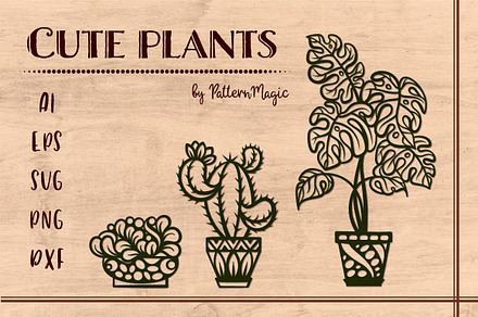 Cute plants