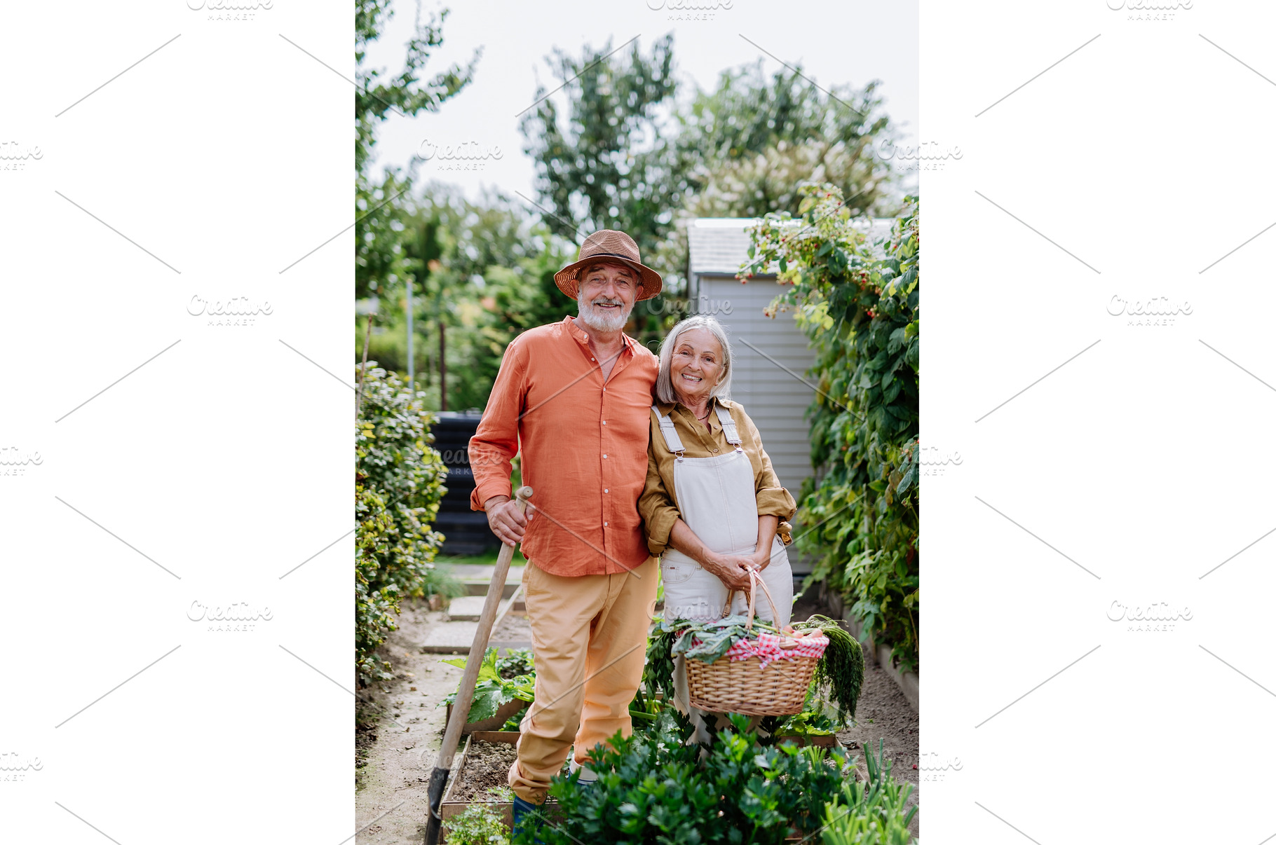 Happy senior couple harvesting, a Person Photo by HalfPoint