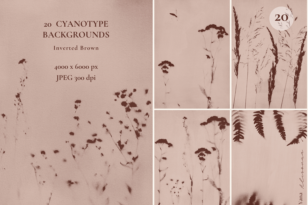 CYANOTYPE Botanical Backgrounds, a Background Graphic by Alisovna (Photo 12 of 15)