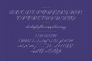 Belati Sophia Modern Beauty Script, a Script Font by Letterena Studios Script (Thumbnail 13 of 15)