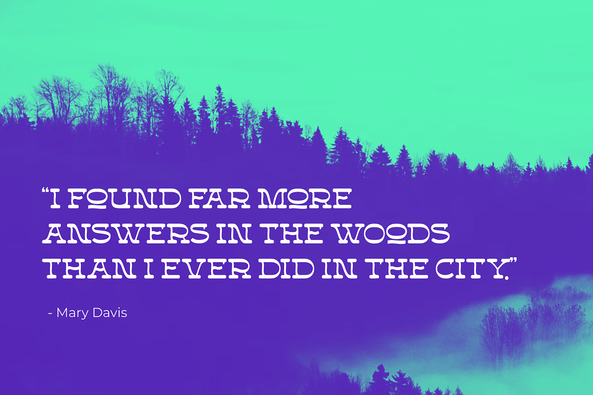 Forteast Slab Serif, a Slab Serif Font by Glyphstyle (Photo 6 of 9)