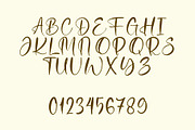 Samdays Font Handwritten Script, a Script Font by Koplexs Studio (Thumbnail 8 of 10)