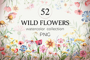 Wild flowers watercolor collection, a Decorative Illustration by Dashamoony (Thumbnail 1 of 3)