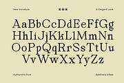 Secth Vought–Luxury Editorial Serif, a Serif Font by MaikoHatta (Thumbnail 6 of 10)