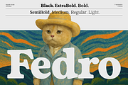 Fedro - 14 Fonts, a Serif Font by Nasir Udin (Thumbnail 1 of 20)