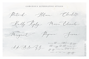 Maison de fleur //Luxury Script Font, a Handwritten Font by PeachCreme (Thumbnail 11 of 11)