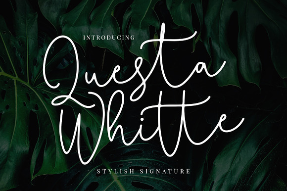 Questa Whitte Script Business Font preview 7