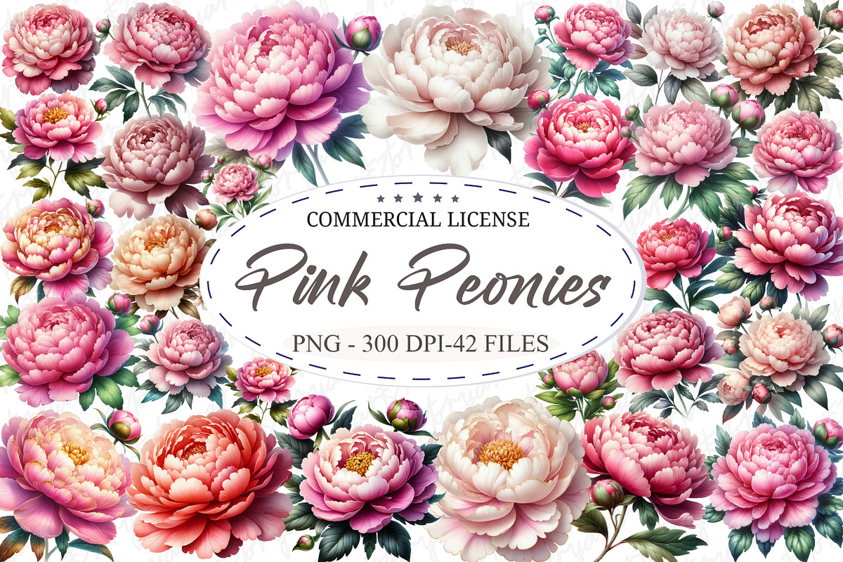 Watercolor Pink Peonies Clipart PNG, an Illustration by designcity5 (Photo 1 of 5)