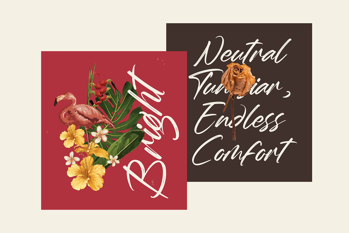 Whadrat Chothelis Modern Brush Font, a Script Font by Letterena Studios Script (Photo 14 of 20)