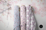 Cherry Blossom Watercolor, a Decorative Illustration by Olga Koelsch (Thumbnail 8 of 9)