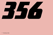 Turbohaus, a Sans Serif Font by Nameless Type Foundry (Thumbnail 3 of 10)