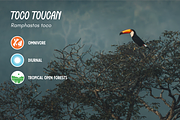 Tropical Wildlife Icons, an Icon by Emma Jacquelyn Design (Thumbnail 3 of 5)