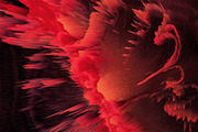 Boreal | 35 Abstract Backgrounds, a Texture Graphic by MDG (Thumbnail 12 of 24)