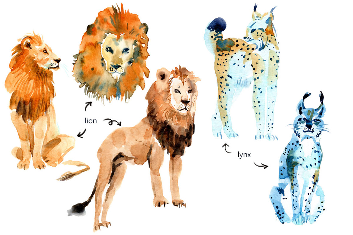 Watercolor WILD cats, an Animal Illustration by Anastasia (Photo 10 of 13)