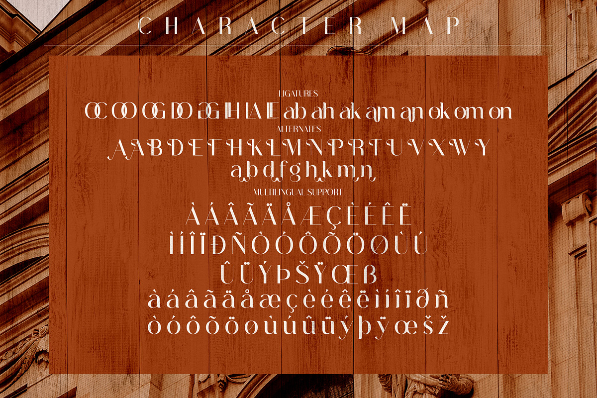 Abigate Desgo Stylish Serif Font, a Serif Font by Storytype Studio (Photo 7 of 8)
