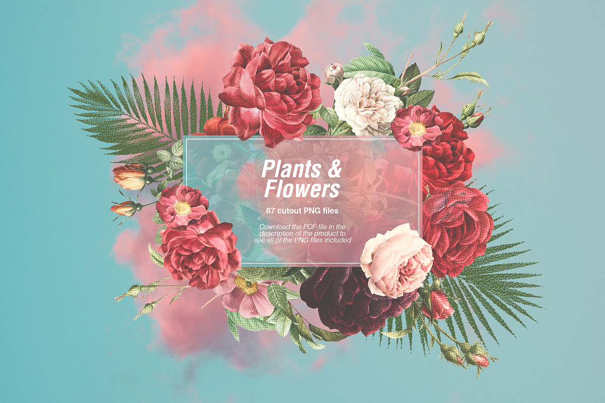 Collage Creator - 1400+ Cutouts, an Object Graphic by Graphicdome (Photo 19 of 47)