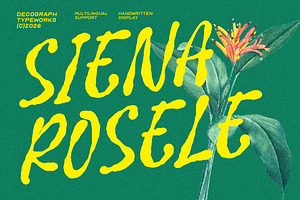 Siena Rosele – Handwritten Font
