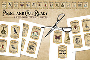 Witch Potion Labels Apothecary, a Seasonal Illustration by RossiGalleria (Thumbnail 3 of 3)