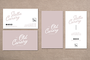 Fun Business Card Template, a Marketing Template by BirdieLaine (Thumbnail 1 of 3)