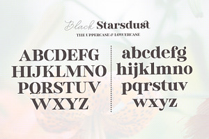 Black Starsdust Font Duo