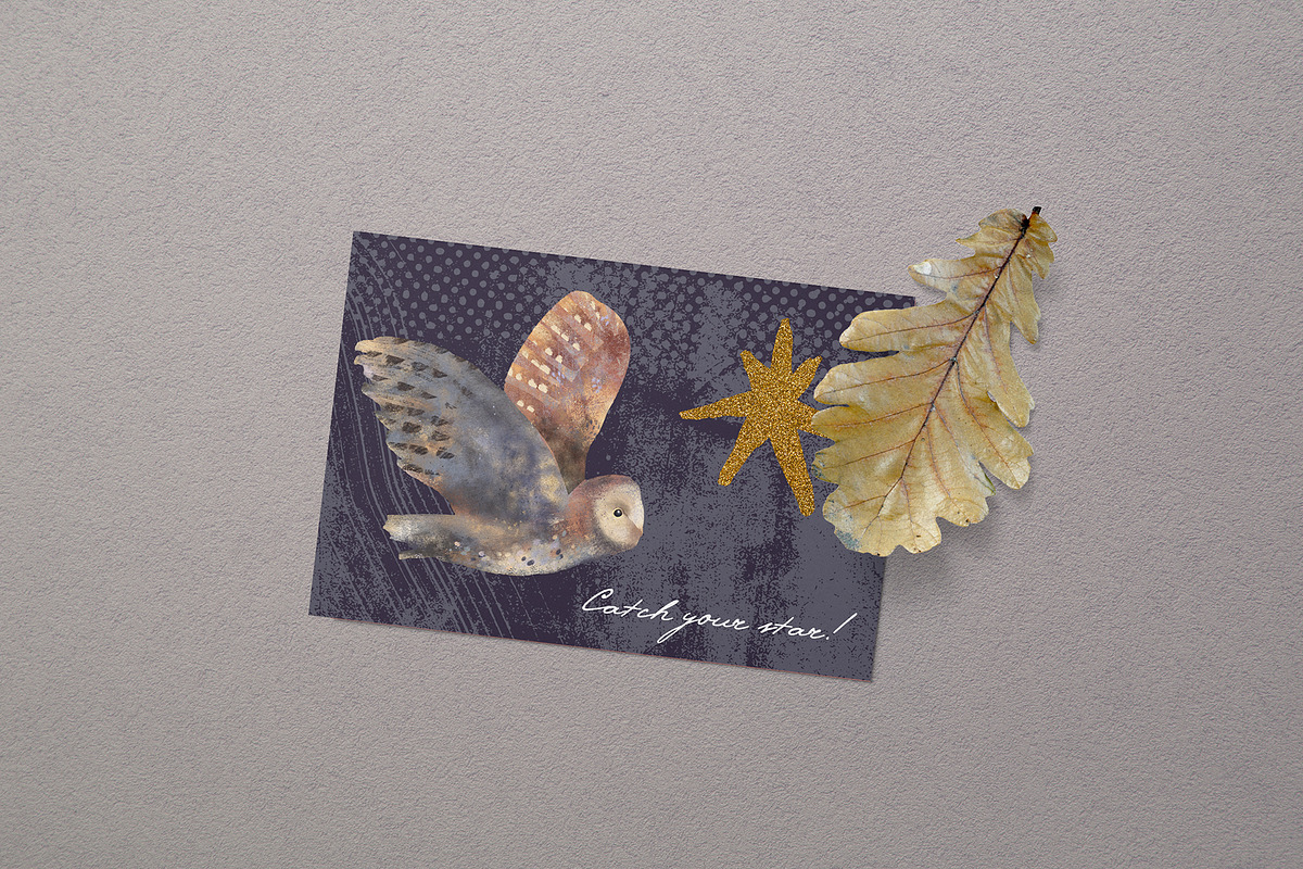 Magic owls: 280 elements for design, an Animal Illustration by Shusha Guna Art (Photo 18 of 23)