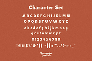 Antagonist Casual Bold Serif, a Serif Font by Haksen (Thumbnail 9 of 15)