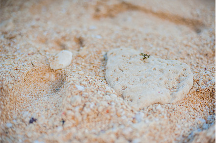 Beautiful white sand beach of, a Nature Photo by Elizaveta Galitskaya