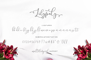 Lilypaly - Handlettering Font, a Script Font by Sronstudio (Thumbnail 19 of 19)