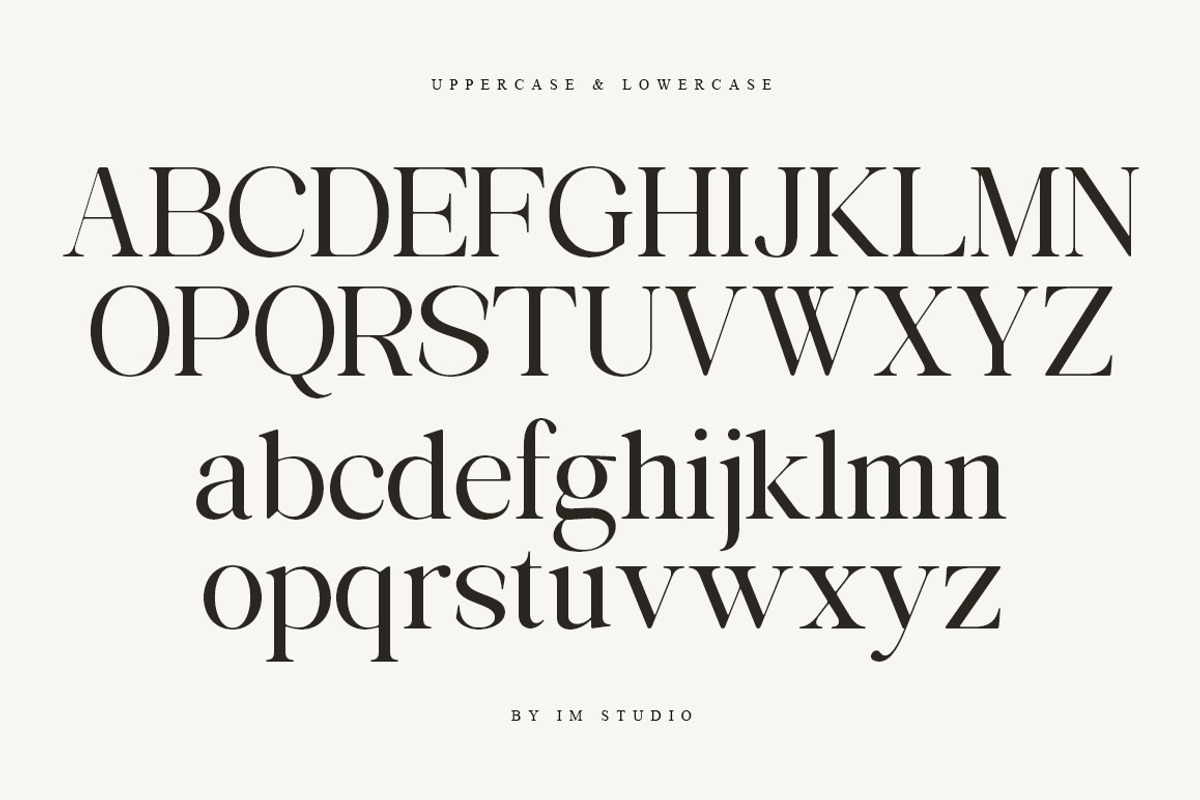Avilona Super Family | 63 Style Font, a Serif Font by IM Studio (Photo 12 of 16)