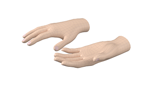 Female Hand Base Mesh 03