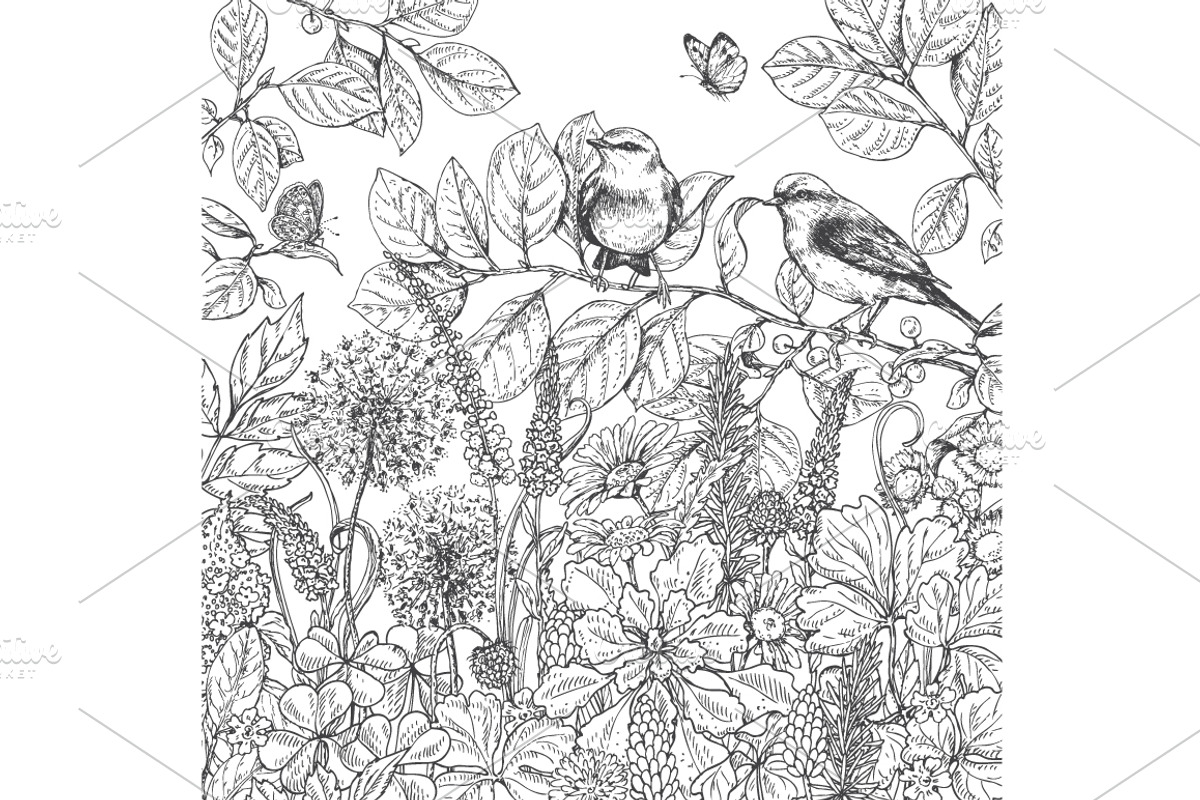 Birds on Branches Sketch, a Decorative Illustration by Valentyna Smordova (Photo 7 of 9)