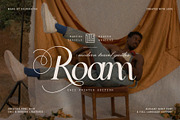 Noir Jolie - Modern Ligature Serif, a Serif Font by SilverStag Type Foundry (Thumbnail 5 of 17)