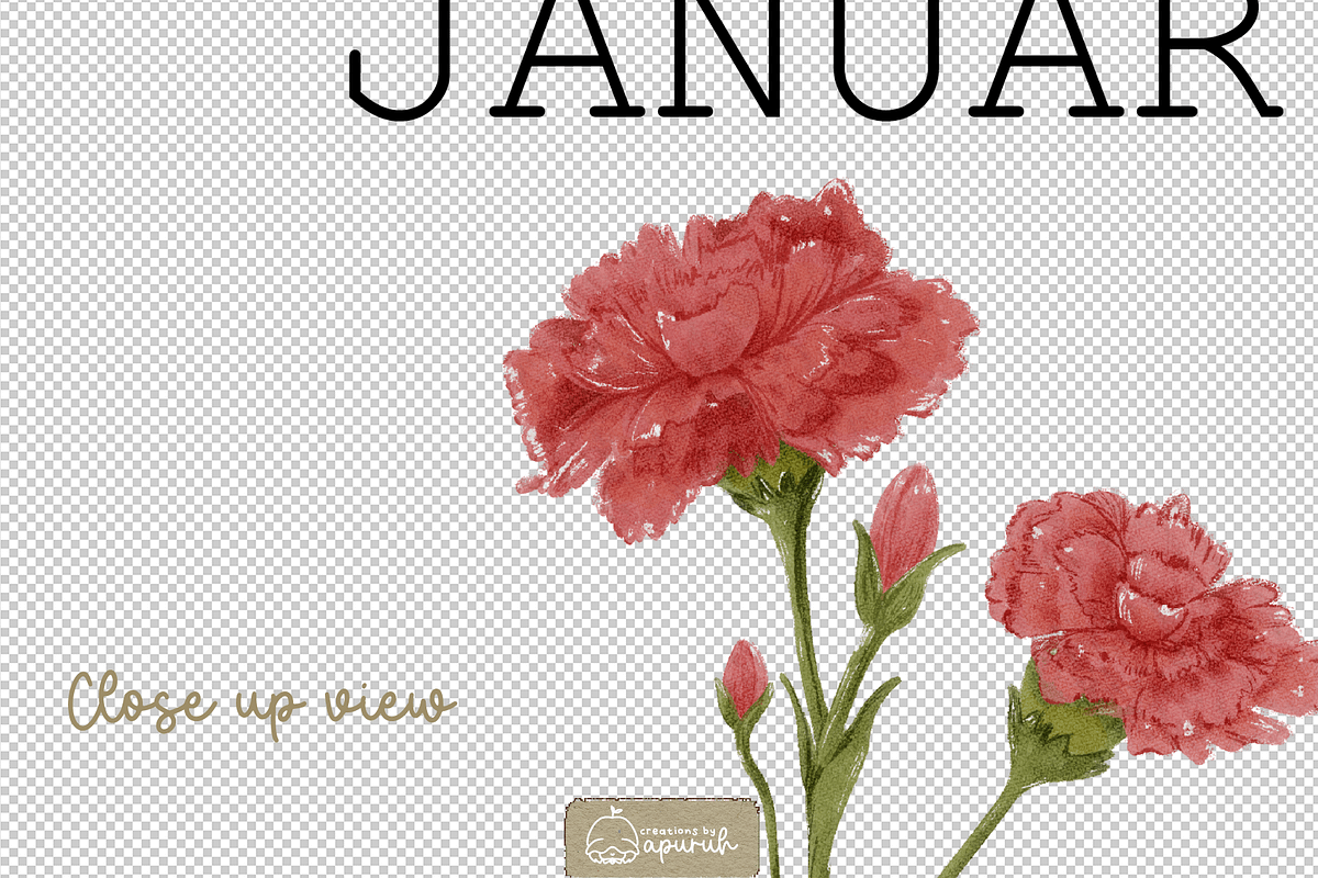 Flower Birth Month with Text Meaning, a Decorative Illustration by creationsbyapuruh (Photo 4 of 10)