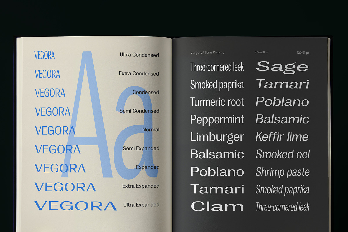 Vegora Display Sans, a Sans Serif Font by Fargun Studio (Photo 13 of 15)