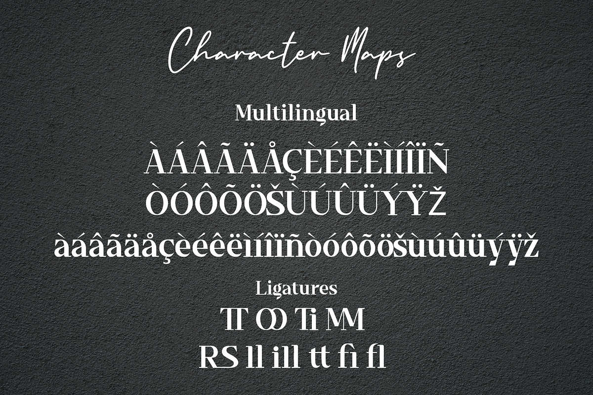 Timeline - A Classy Serif Font, a Serif Font by overlaytemplates