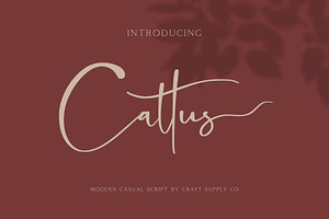Cattus - Modern Casual Script Font, a Script Font by Craft Supply Co.