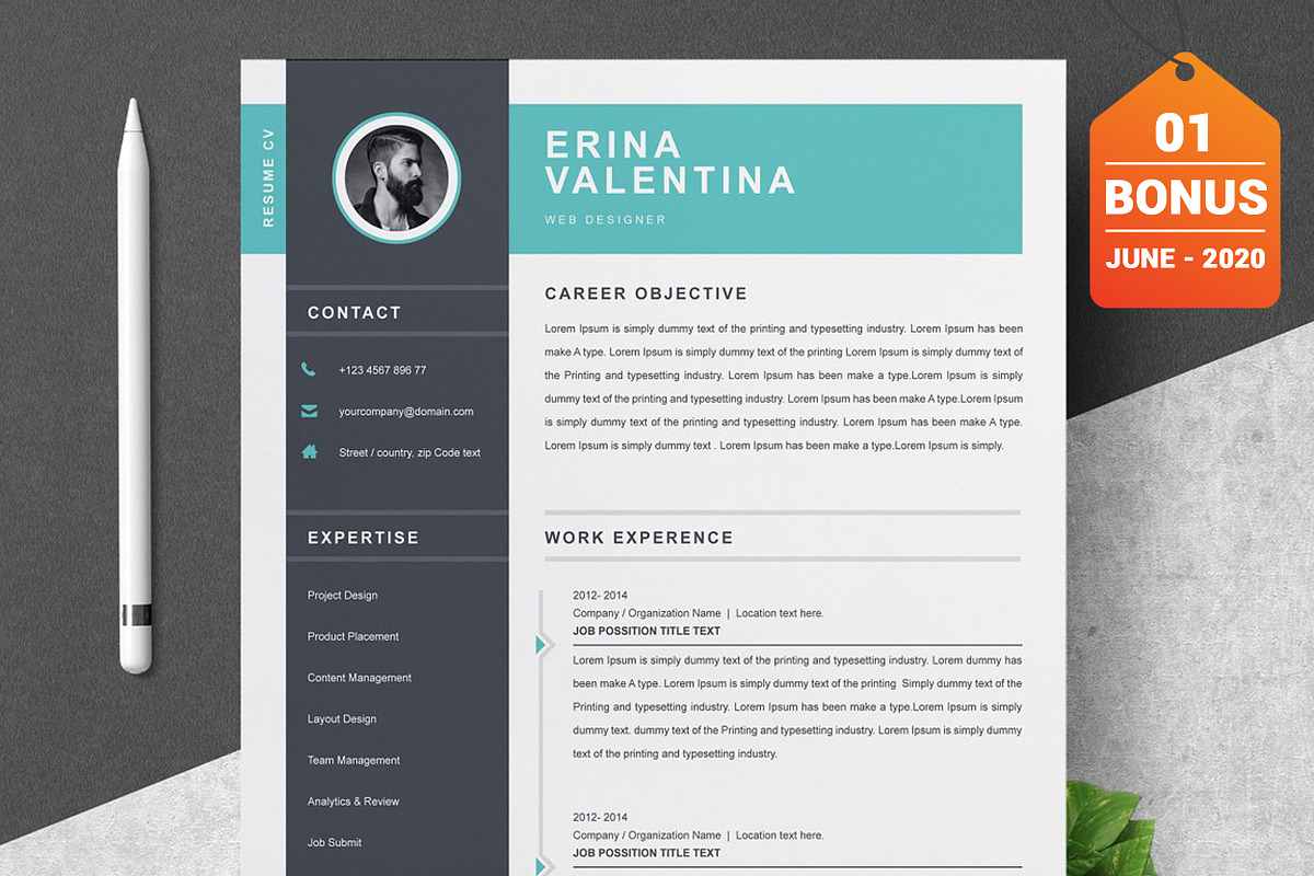 Resume/CV Bundle | 200+ for $29, a Resume Template by ResumeInventor (Photo 117 of 207)