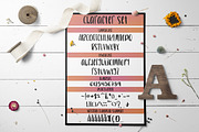 Rustic Sans, a Sans Serif Font by Nicole Dawn Design (Thumbnail 5 of 8)