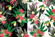 Watercolor toucan patterns, a Pattern Graphic by ramika (Thumbnail 2 of 5)