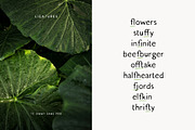 Jimmy Sans Pro - Handwritten Sans, a Sans Serif Font by Tom Chalky (Thumbnail 4 of 7)