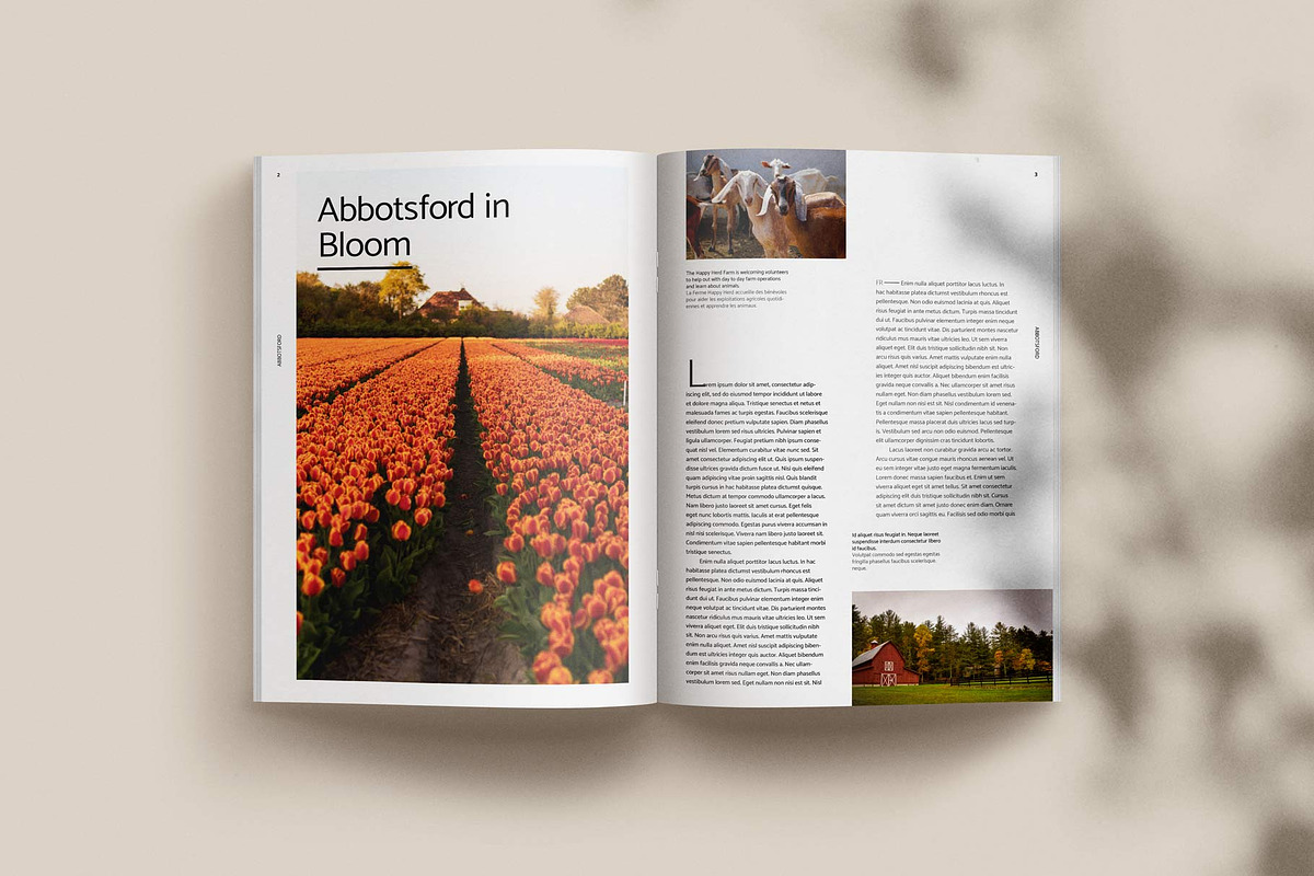 Magazine template bilingual layout, a Magazine Template by Alexandra Piros Design (Photo 8 of 14)