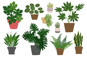 Tropical Plants Vector.